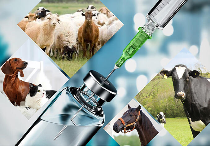 Veterinary Formulation Sector